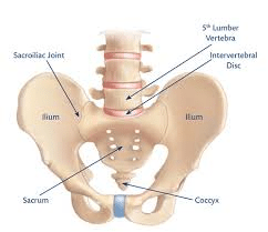 Pregnancy Related Pelvic Girdle Pain