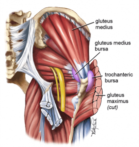 lateral hip pain1