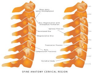 Correct Pillow Height & Sleep Position - Reflex Spinal Health: Your Reading  Chiropractor, Osteopath & Massage Therapy, RG4 7AA.