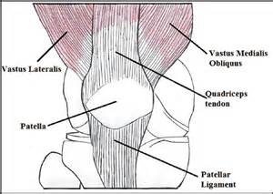 Patello-femoral Joint Pain