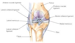 Medial and Lateral ligament injuries of the knee