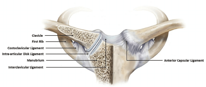 Sternoclavicular Pain