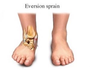 medial ankle ligaments