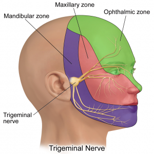 trigeminal