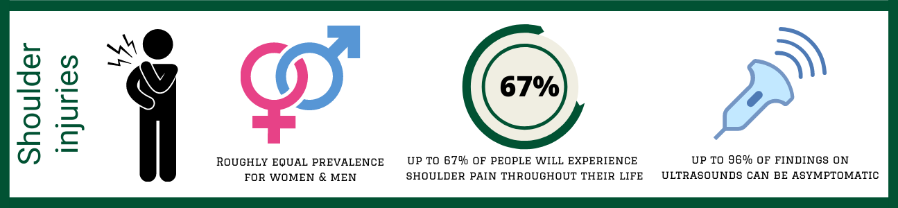 shoulder region infographic